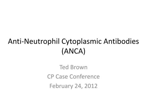 Ppt Anti Neutrophil Cytoplasmic Antibodies Anca Powerpoint