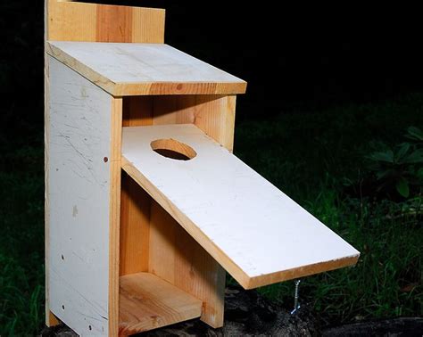 Building Owl Boxes Owl Box Owl Nest Box Owl Nesting