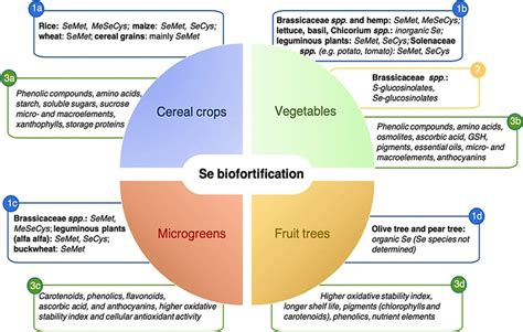 Se Biofortification To Improve Human Plant Foods 244 Note 1a