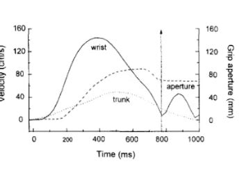 kines final exam Flashcards | Quizlet 