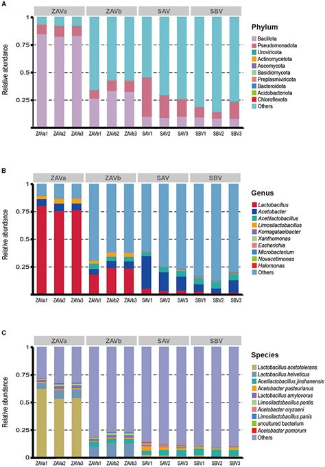 Frontiers Metagenomics Profiling Of The Microbial Community And