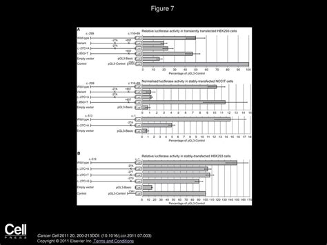 Volume 20, Issue 2, Pages (August 2011) - ppt download