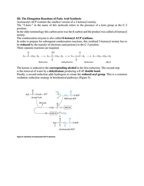 SOLUTION: Biosynthesis of lipids - Studypool