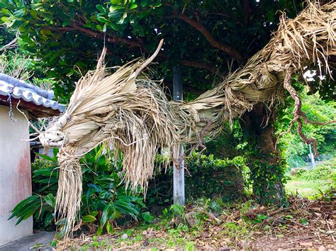 This Giant Dragon Sculpture Made Of Palm Tree Leaves And Wood Gave A Local Resident A Good Scare ...