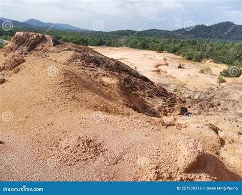 Barren Land Due To Erosion After Deforestation Stock Photo Image Of