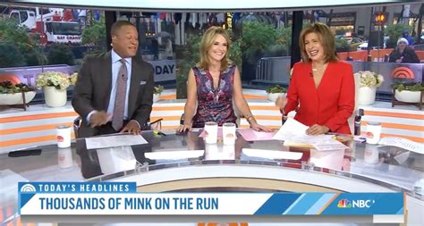 Todays Hoda Kotb Breaks Into Uncontrollable Laughter On Live Tv