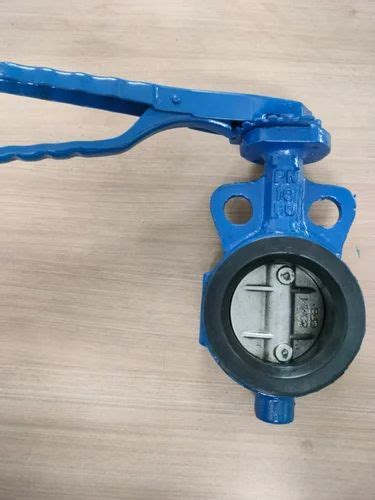 Ci Butterfly Valve At Rs Ci Butterfly Valve In Ahmedabad Id