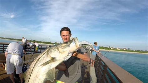 Juno Beach Pier Snook Fishing The Final Chapter Youtube