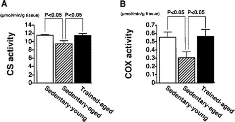 Enzyme Activity Of Citrate Synthase Cs A And Cytochrome Oxidase