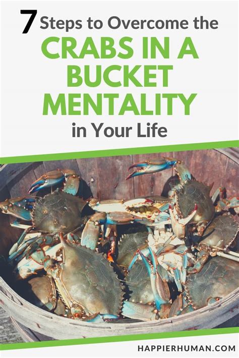 7 Steps to Overcome the Crabs in a Bucket Mentality in Your Life ...