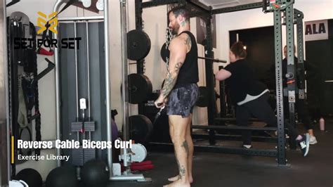 Reverse Cable Biceps Curl SFS Exercise Library YouTube