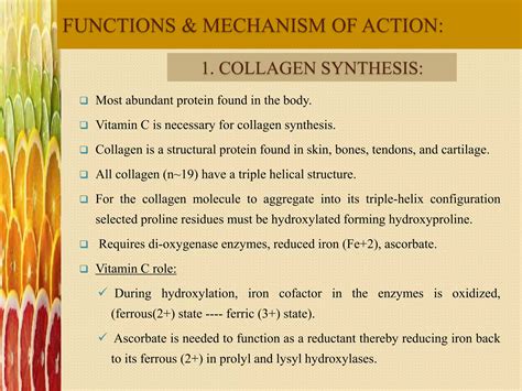 which vitamin is important for the synthesis of collagen