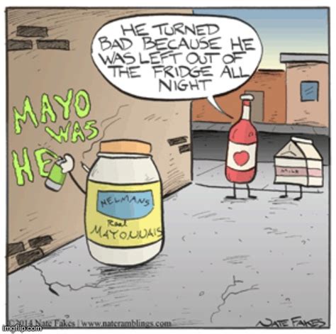 mayo   imgflip