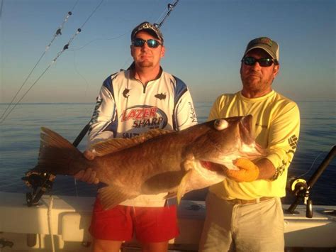 Gulf Shores Fishing Gallery – Gulf Shores Fishing Charters