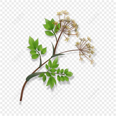 Angelica PNG Images With Transparent Background | Free Download On Lovepik