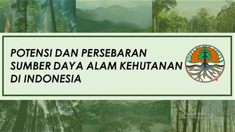 Potensi Dan Persebaran Sumber Daya Alam Kehutanan Di Indonesia Youtube