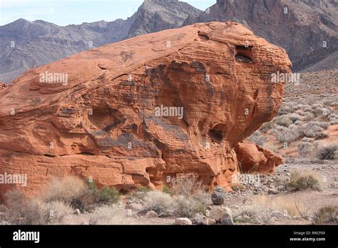 Rock Formations In Valley Of Fire State Park Nevada Usa Eroded Red Sandstone Aztec Sandstone