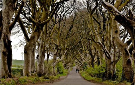 Private Game Of Thrones Tour From Belfast 2023 | Luxury Tour