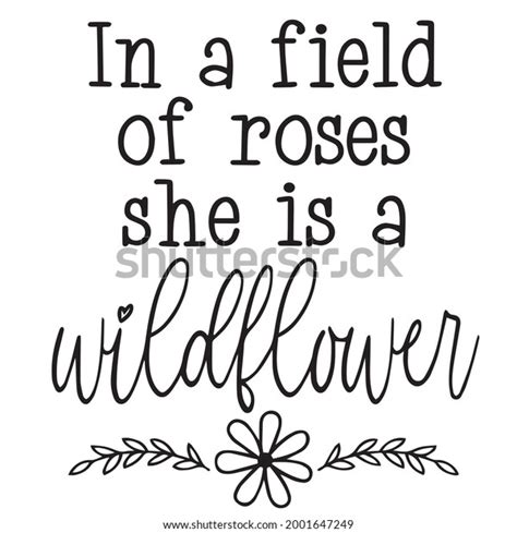 Rose Field Wildflowers Quote Royalty Free Images Stock Photos