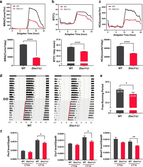 Disc1 Knockout Mice Exhibit Altered Circadian Behaviors Ac Overall