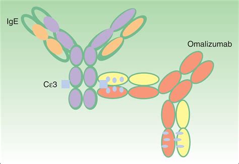 Omalizumab En El Tratamiento De La Urticaria Crónica Actas Dermo