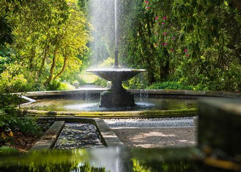 Chácara Do Chafariz - Chafariz para jardim: conheça os tipos e saiba como usá-los no paisagismo