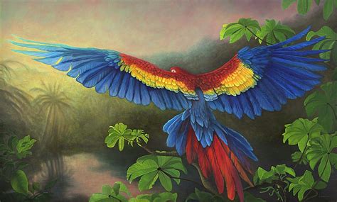 Scarlet Macaw Painting By Linda Schroeter Fine Art America