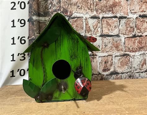 ladybug house