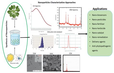 Green Nanotechnology In Agro Ecosystems Encyclopedia Mdpi