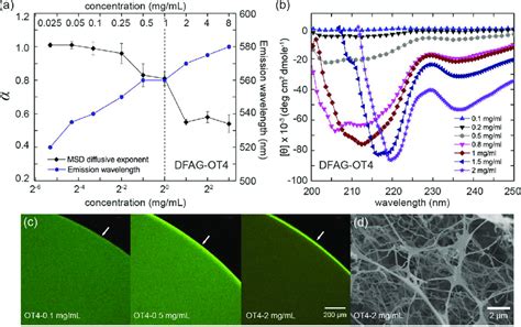 Assembly Of Dfag Ot Using A Combination Of Microrheology Optical