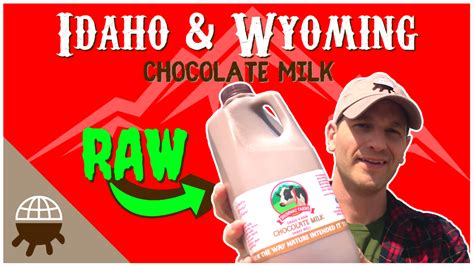 VB 134 Raw Chocolate Milk Review Chocolate Milk Reviews