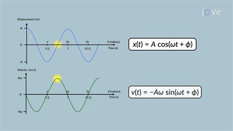 Characteristics of Simple Harmonic Motion | Physics | JoVe