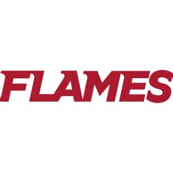 Liberty Flames Wordmark Logo | SPORTS LOGO HISTORY