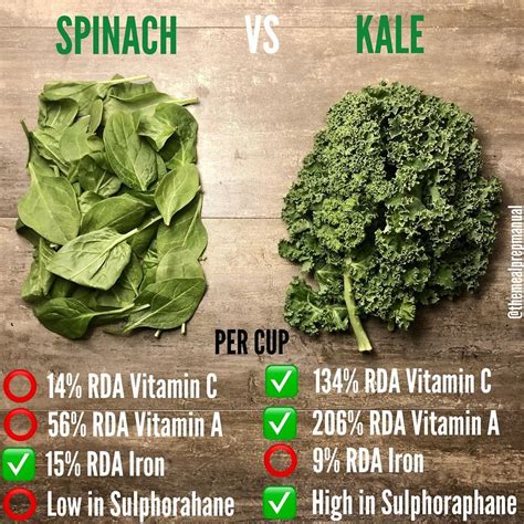 Spinach Vs Kale Which One Should You Be Eating The Answer Is Both