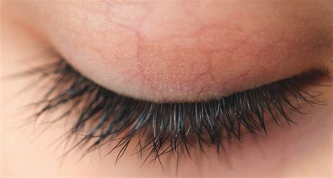 How To Repair Eyelashes After Extensions The Indoor Haven