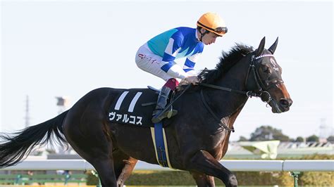 【ダイヤモンドs・京都牝馬s・小倉大賞典】「複勝率70」大外ベスビアナイトに警戒！ 3重賞データと注目馬【動画あり】｜競馬×ai×データ分析