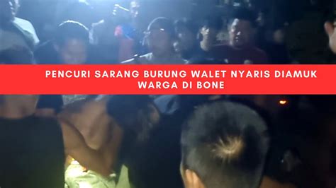 VIDEO Pencuri Sarang Burung Walet Nyaris Diamuk Warga Di Bone