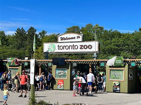 Best 10 Best Parks in Toronto