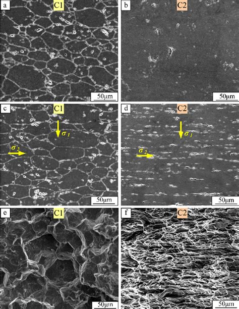 Microstructures Of The Transverse Horizontal Section In As Compacted