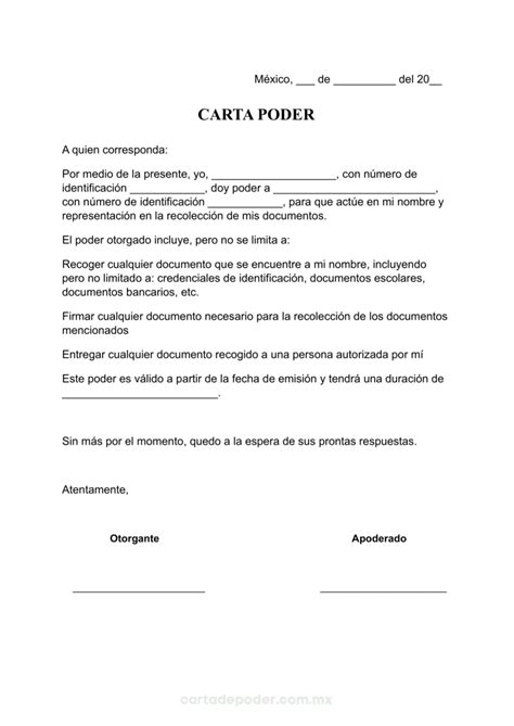 Todo Lo Que Necesitas Saber Sobre La Carta Poder Simple Para Recoger