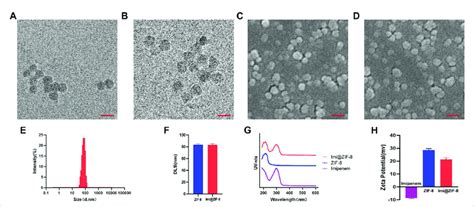 Characterization Of Zif 8 And Imizif 8 A Tem Image Of Zif 8 B