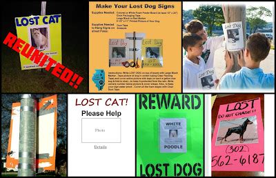 Lost Pet PR | Delmarva's Lost and Found Pet Network: Making Signs And ...