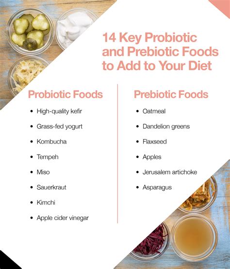 6 Common Questions About Probiotics Answered The Amino Company