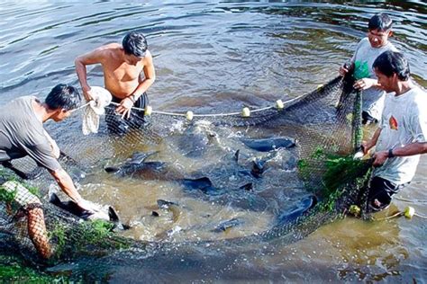 Ley General De Acuicultura Y Su Reglamento Cu L Es Su Objetivo Y En