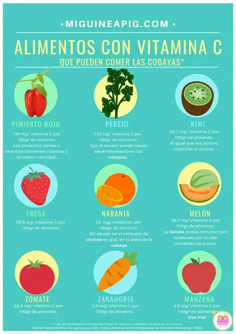 Info De Sus Verduras Y Frutas Alimentos Con Vitamina A Frutas Y