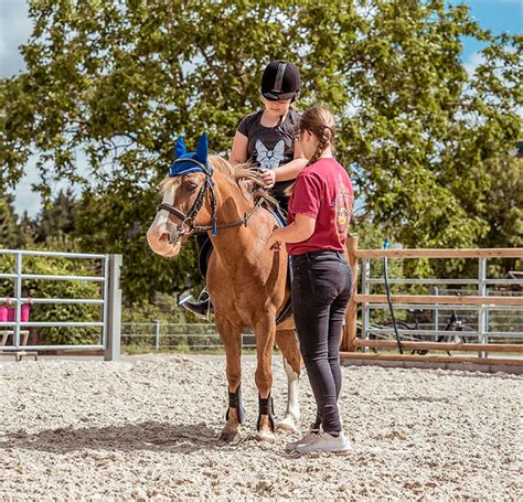 Ausstattung Und Service Reitbetrieb An Der Steinheide Familie K Llen