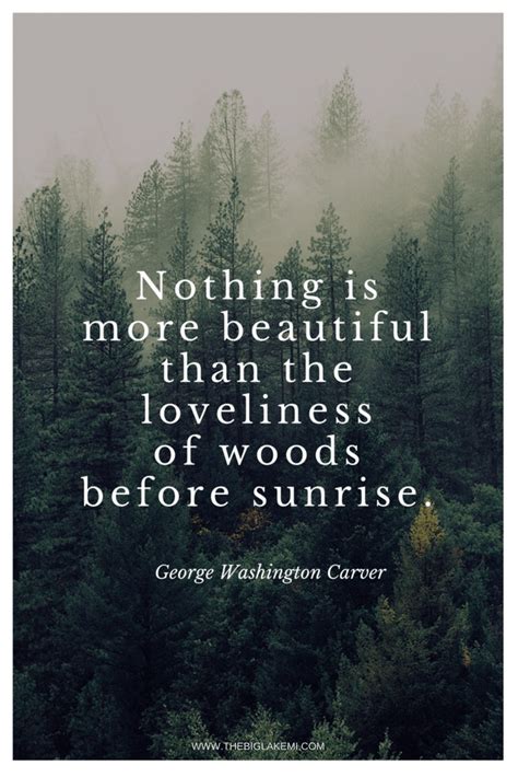 beautiful quotes  nature  wilderness  inspire