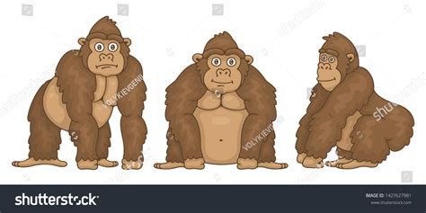 Set Gorillas Isolated On White Background Stock Vector Royalty Free