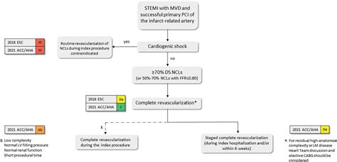 Timing And Modality Of Complete Revascularization In Patients