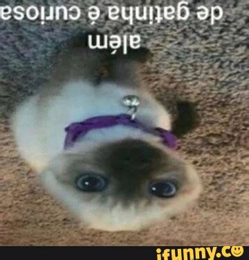 Memes De Imagem M2IyrfuGA Por Galeria Da Internet 2023 IFunny Brazil